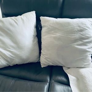 Two chaps pillow inserts